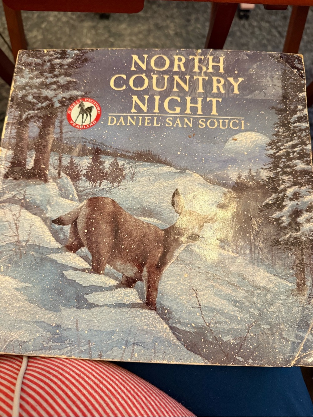Children’s Paperback Book North Country Night